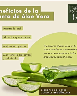 Instagram post from sabila_mx. This post is in position 4.