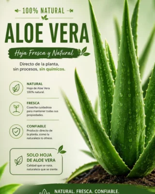 Instagram post from sabila_mx. This post is in position 2.