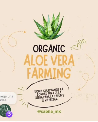 Instagram post from sabila_mx. This post is in position 3.