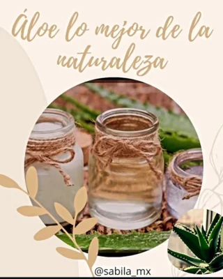 Instagram post from sabila_mx. This post is in position 1.